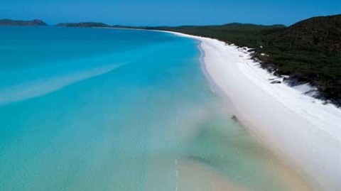 艾文多尔U20主场0-1惜败墨尔本港鲨鱼U20